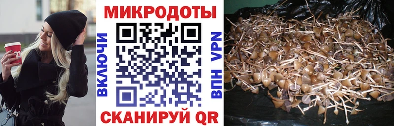 Псилоцибиновые грибы прущие грибы  это какой сайт  Берёзовка 